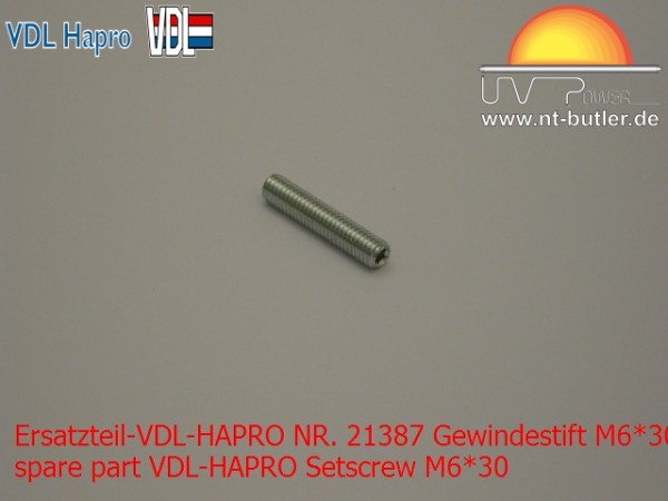 Ersatzteil-VDL-HAPRO NR. 21387 Gewindestift M6*30